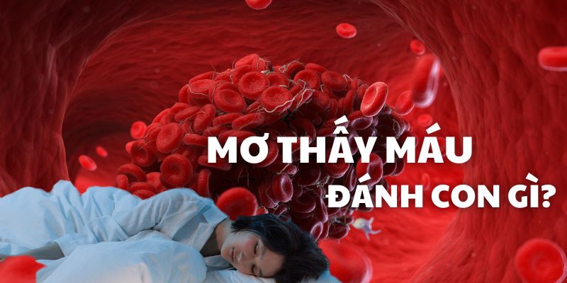 mơ thấy máu đánh con gì