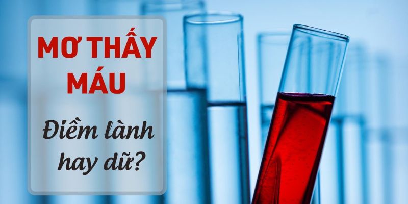 Mơ thấy máu đánh con gì và những điềm báo