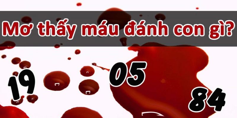 Bật mí mơ thấy máu đánh con gì là may mắn