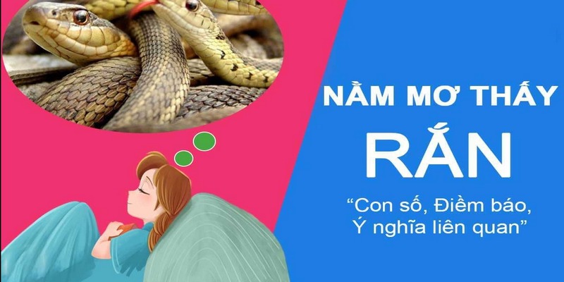 Thử vận may cùng con số may mắn từ giấc mơ rắn