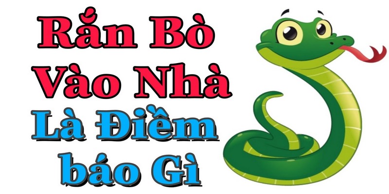 Một số chiêm bao về rắn mang điềm dữ cho người mơ